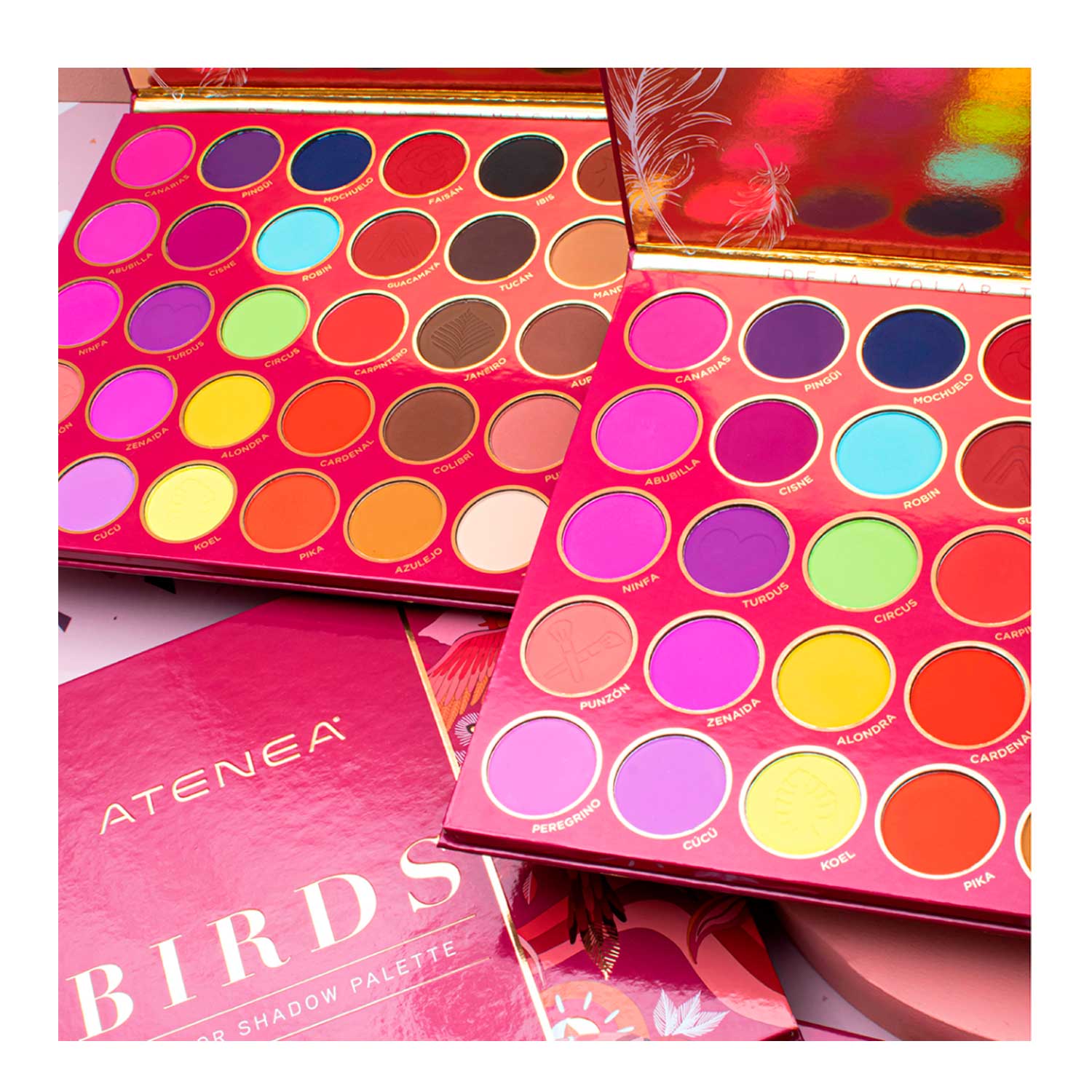 Paleta de Sombras Birds Atenea. 35 Tonos